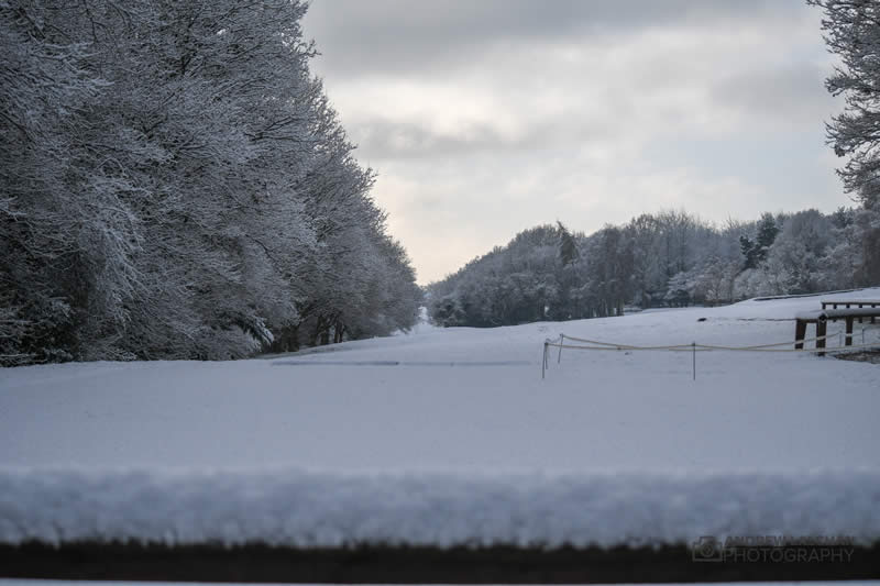 Snow in Watford 